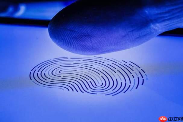 指纹浏览器内核版本是什么 浏览器底层技术架构说明