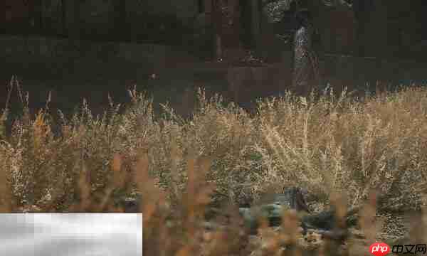 明末渊虚之羽还魂草怎么获取 还魂草获取方法攻略