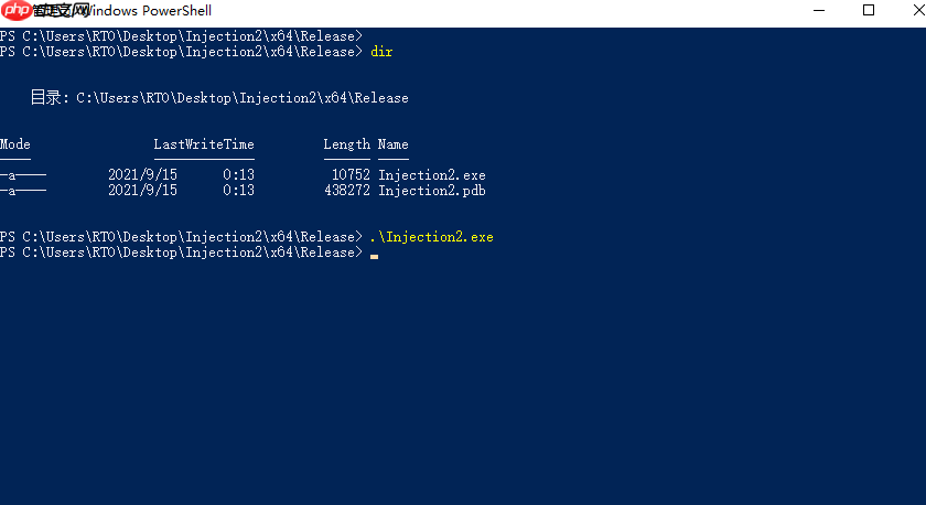 恶意软件开发——突破SESSION 0 隔离的远线程注入