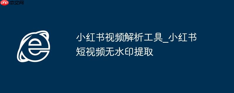 小红书视频解析工具_小红书短视频无水印提取