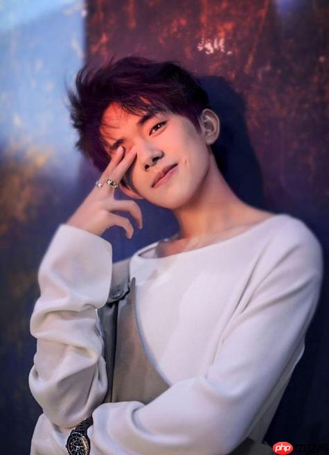 易烊千玺官方网站登录地址 易烊千玺个人网站最新链接