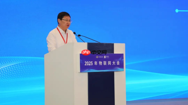 大咖云集，何以无锡？2025年物联网大会侧记