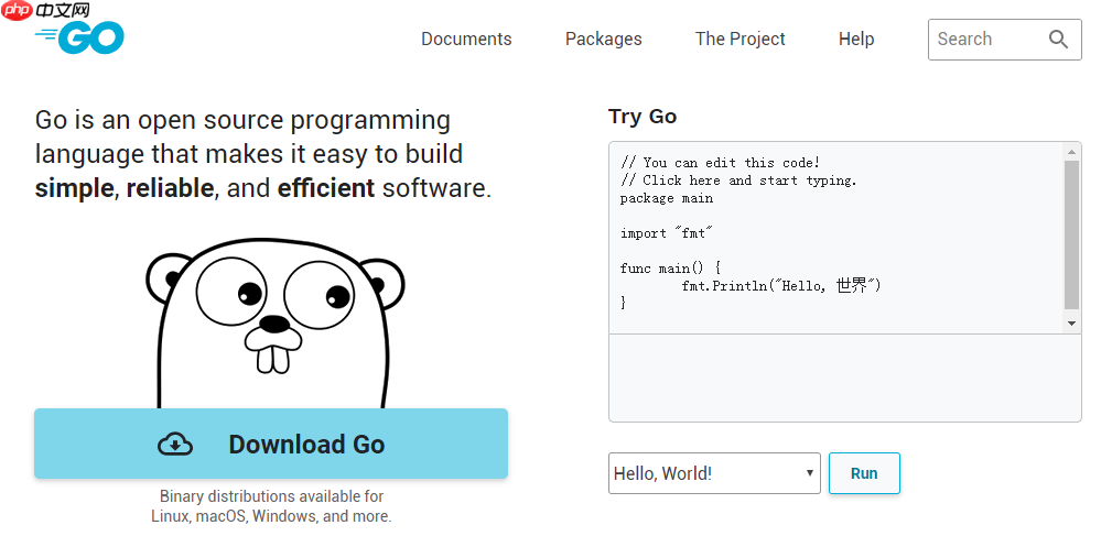 Hello Go World！
