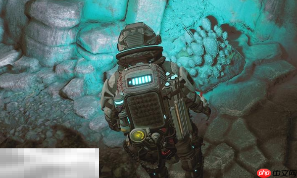 多重人生全息芯片怎么获取 全息芯片获取方式一览​