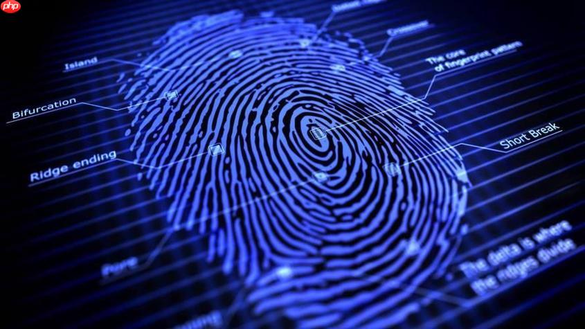 免费使用的指纹浏览器是什么 零成本防关联解决方案推荐