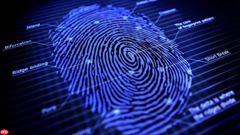 免费使用的指纹浏览器是什么 零成本防关联解决方案推荐