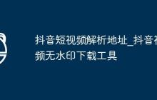 抖音短视频解析地址_抖音视频无水印下载工具