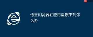 悟空浏览器在应用里搜不到怎么办
