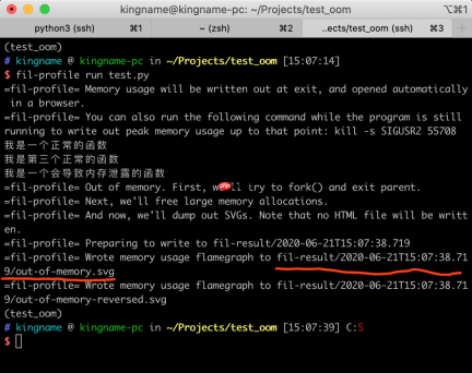 如何调试Python 程序的内存泄露问题