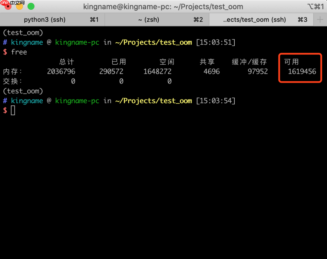 如何调试Python 程序的内存泄露问题