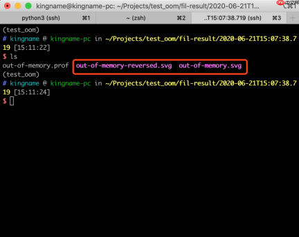 如何调试Python 程序的内存泄露问题