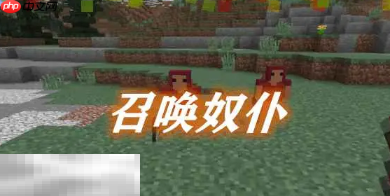 我的世界召唤奴仆有什么用 召唤奴仆使用方法