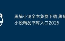 黑猫小说全本免费下载 黑猫小说精品书库入口2025