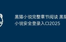 黑猫小说完整章节阅读 黑猫小说安全登录入口2025