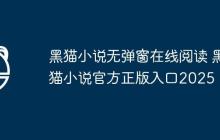 黑猫小说无弹窗在线阅读 黑猫小说官方正版入口2025