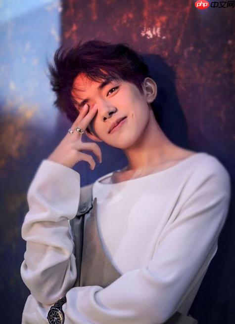 易烊千玺个人网站官网直达 易烊千玺专属主页链接