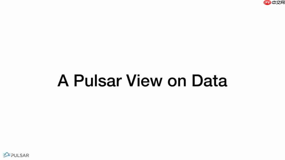 Flink Forward 2019--实战相关(11)--Pulasr与Flink整合的弹性数据处理