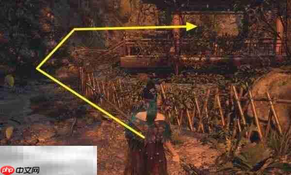 明末渊虚之羽宫女套装在哪里获取 宫女套装获取方法​