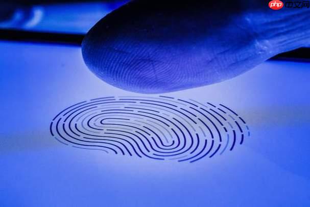 云登指纹浏览器网址是什么 官网地址及最新版本下载指南