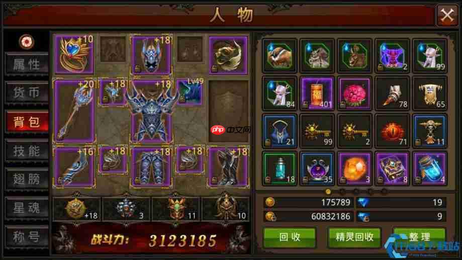 游戏顶级饰品全攻略:成就荣耀与实战搭配指南