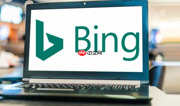 Bing浏览器国际服PC端官网-Bing国际版浏览器移动版官方下载链接