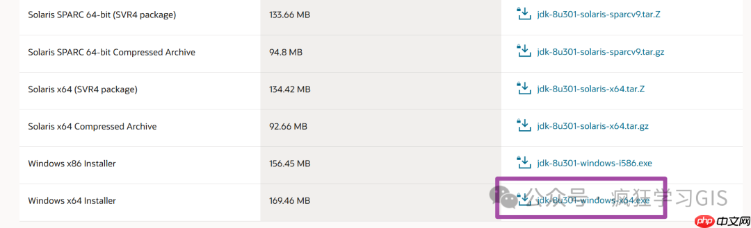 Windows部署Java JDK的方法