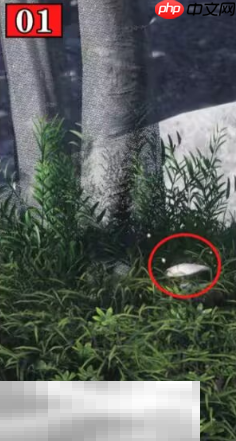 燕云十六声美味惊喜怎么完成 清河太平钟楼万事知攻略