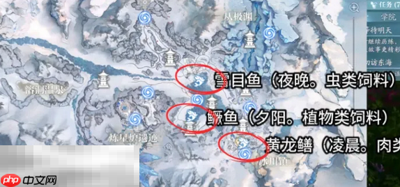 诛仙2限时鱼类怎么获取 限时鱼速刷攻略