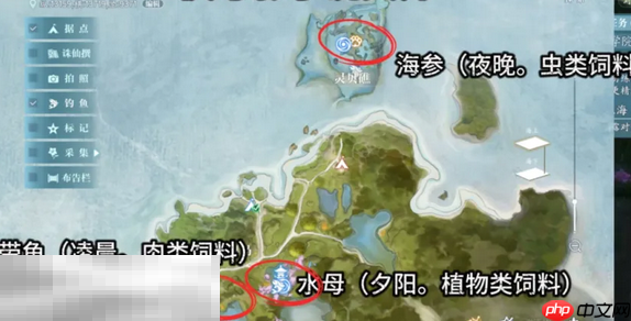 诛仙2限时鱼类怎么获取 限时鱼速刷攻略