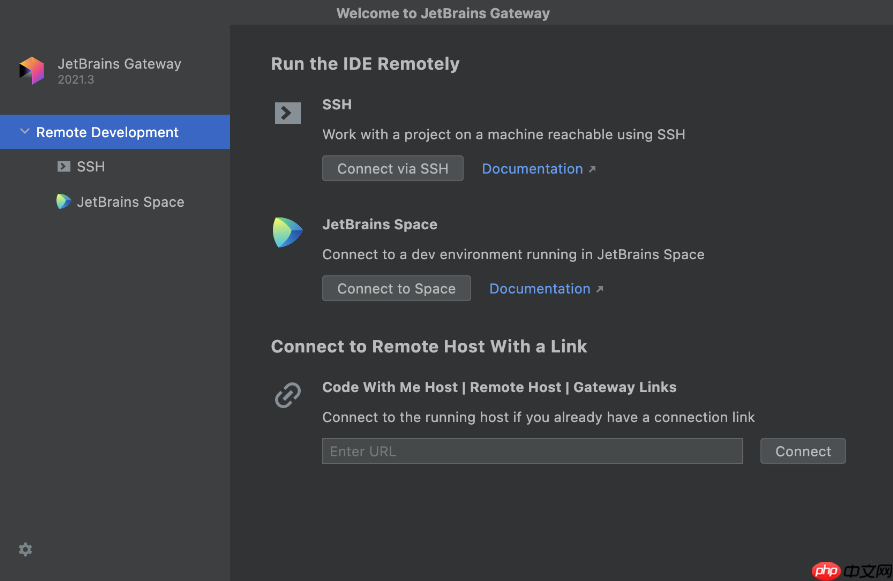 IDEA 2021.3 正式发布：支持远程开发、故障排查、Java和Spring等多项优化改进