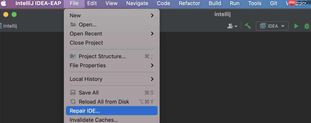 IDEA 2021.3 正式发布：支持远程开发、故障排查、Java和Spring等多项优化改进