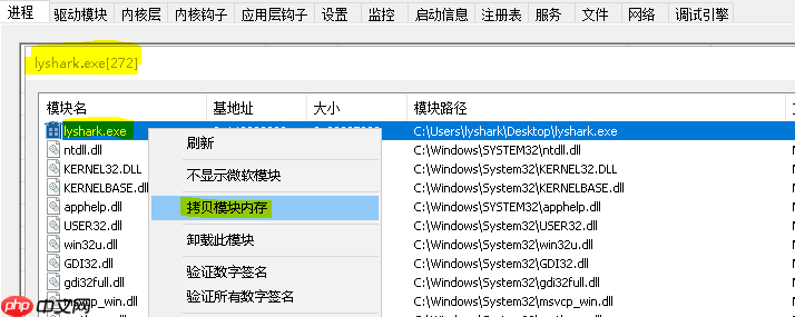 4.5 Windows驱动开发：内核中实现进程数据转储