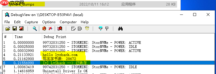 4.5 Windows驱动开发：内核中实现进程数据转储