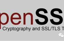 短文：真够劲儿！openssl生成公钥私钥，加密接口数据！这俩指令