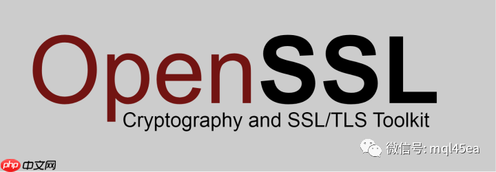 短文：真够劲儿！openssl生成公钥私钥，加密接口数据！这俩指令