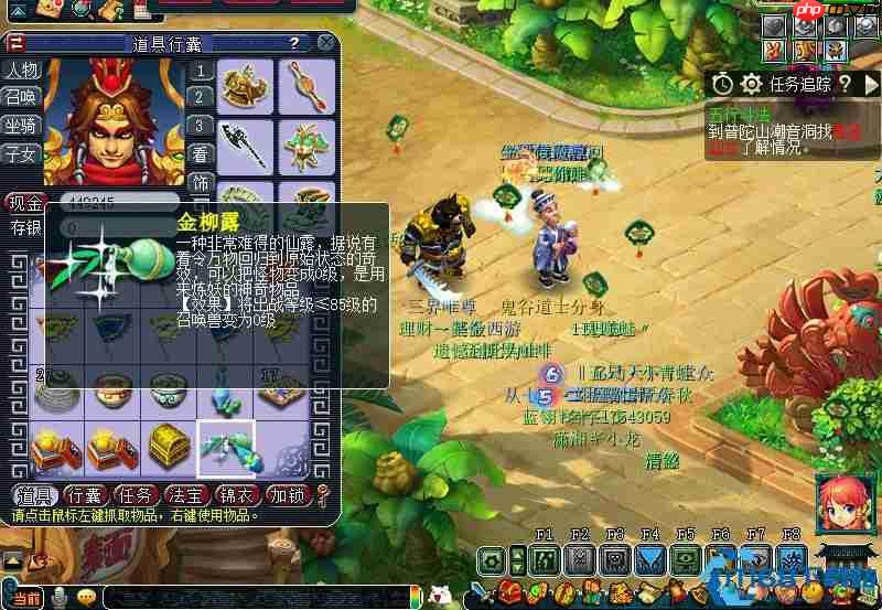 专属武器的永恒烙印：种族绑定机制深度解析