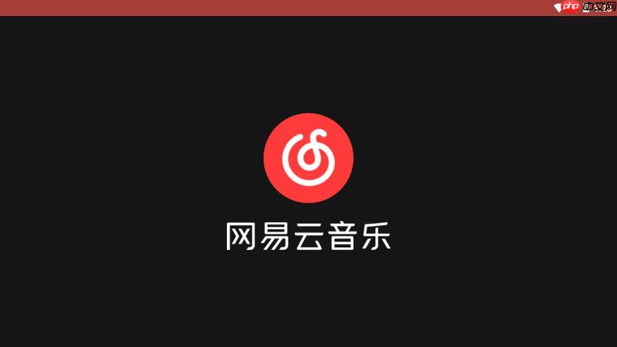 网易云音乐今日出现故障或异常情况的原因查询