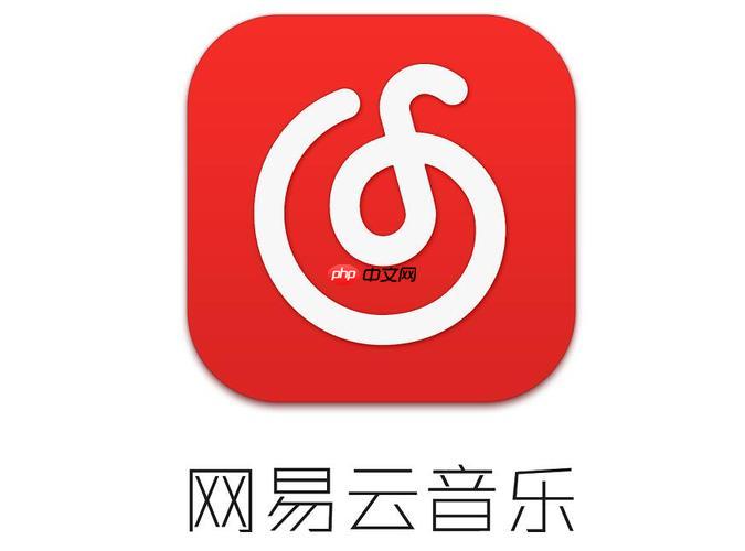 网易云音乐平台上查看正在播放歌曲歌词的方法