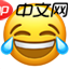 我苦难的转行计算机开发的经历