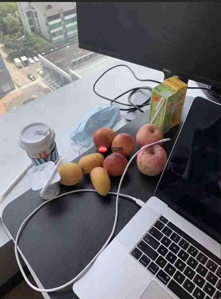 我苦难的转行计算机开发的经历