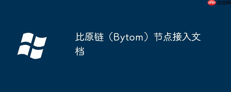 比原链（bytom）节点接入文档