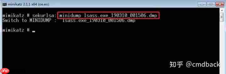 window下抓取密码总结