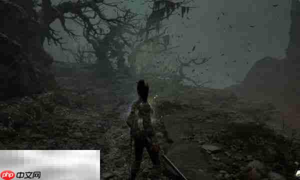 明末渊虚之羽山水图有什么用 山水图用途说明​