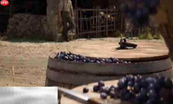 四海兄弟故乡节俭珠饰在哪 节俭珠饰获取位置一览