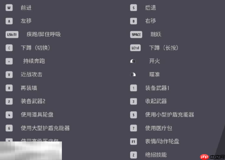 远光84视野怎么设置 视野设置方法分享