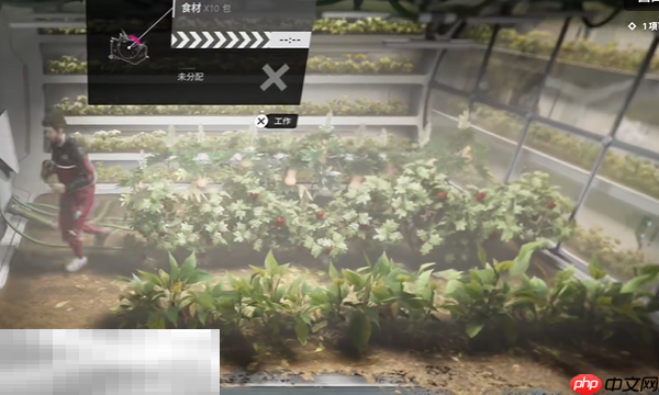 多重人生怎么烹饪 烹饪方法一览