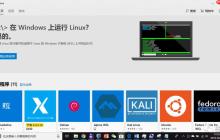 雕刻在NT内核中的LINUS故事