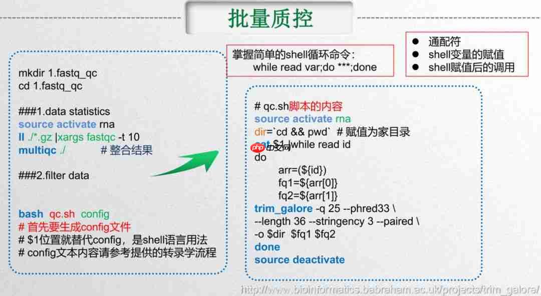 批量与并行不一样