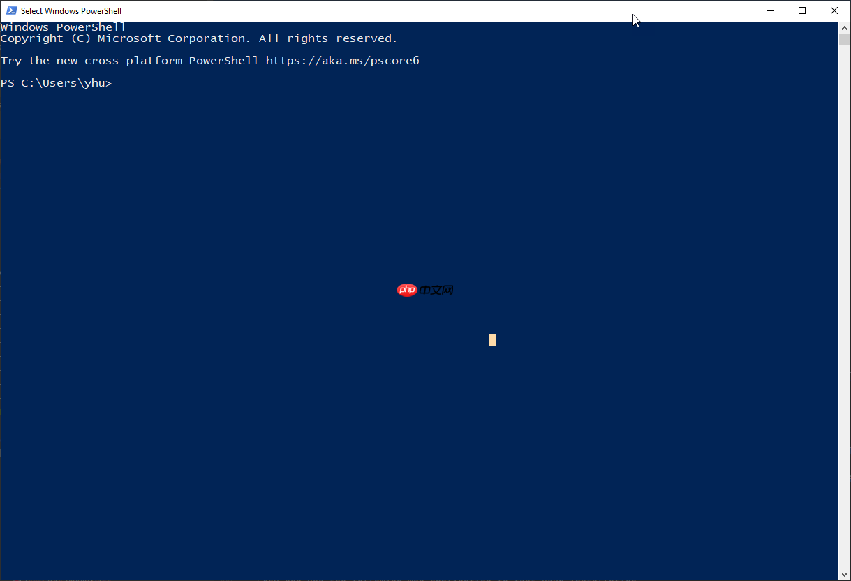 Windows 安装 Scoop 来进行包管理